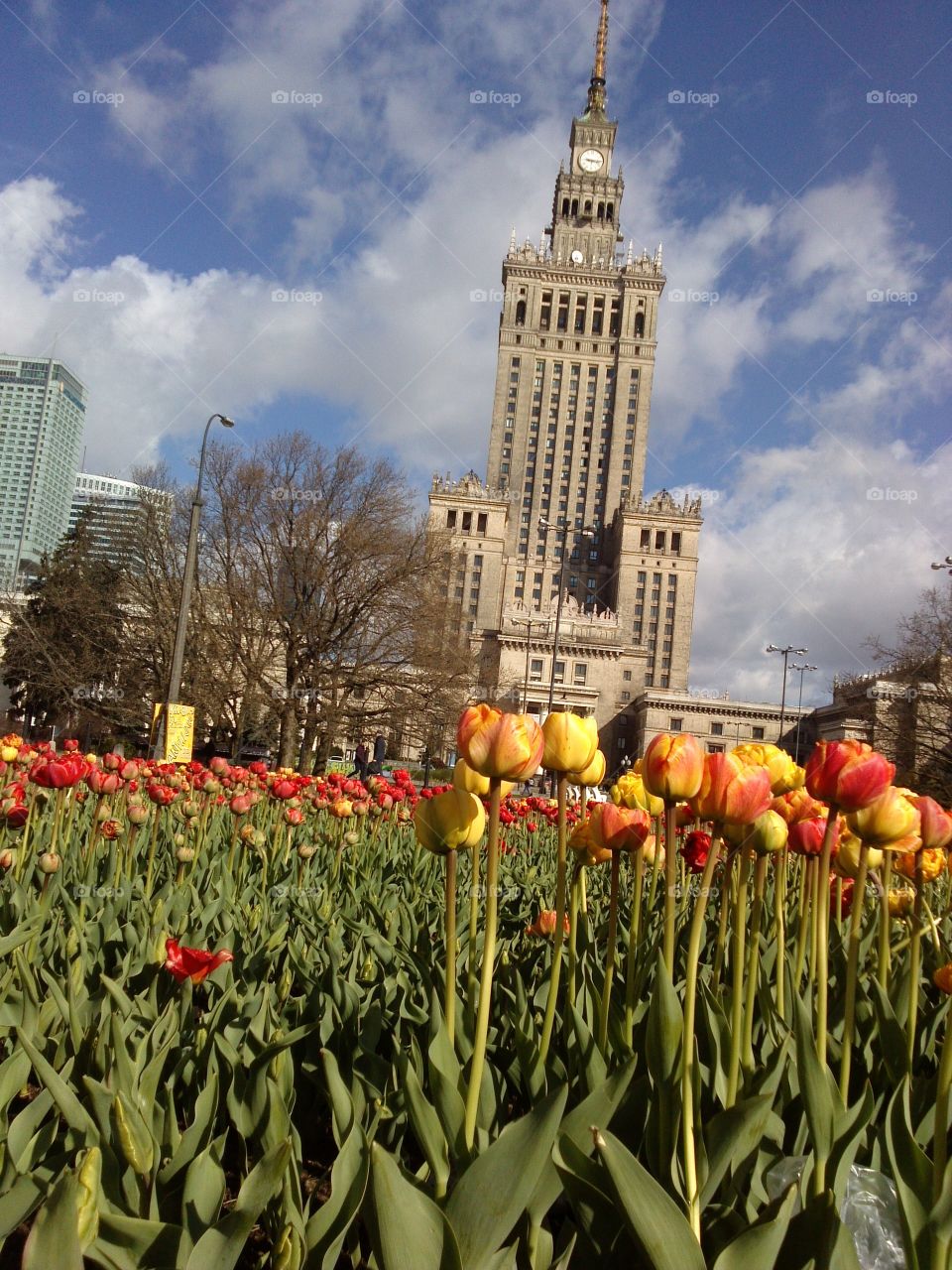 warsaw in flowers