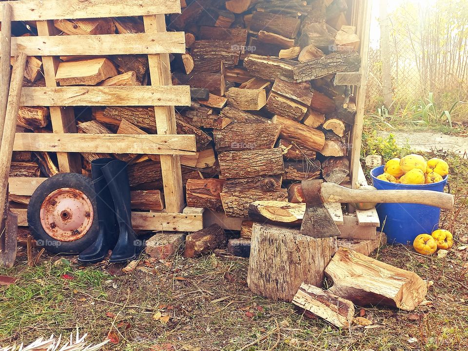 everyday life in the village, preparation for winter, firewood was cut down, the harvest of quince was harvested, and other inverter used on the farm!