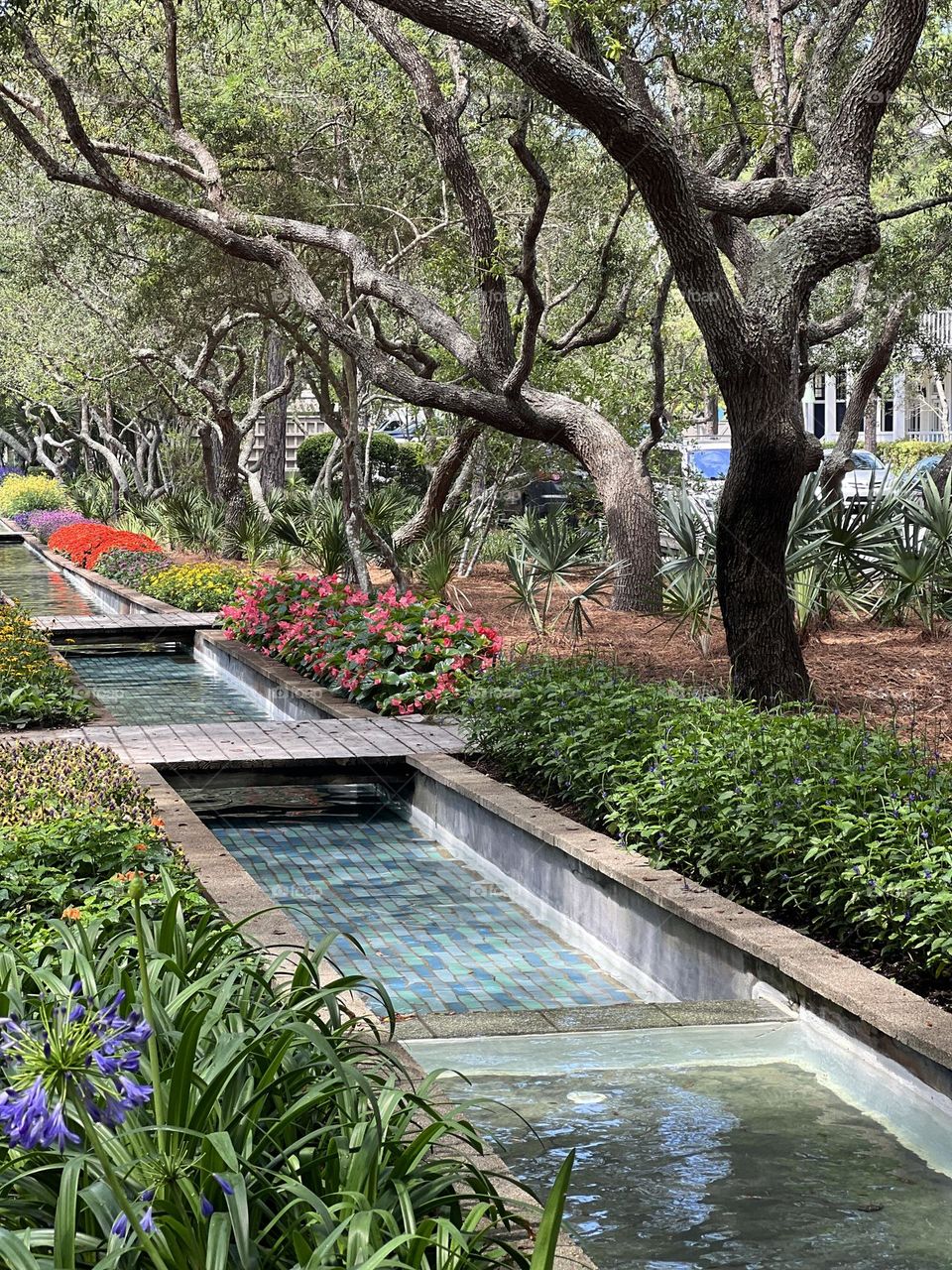 Lovely scene in city park in springtime. Elegant tree limbs create a canopy over a walking path, rows of blooming plants and flowers, and a gently flowing water feature.
