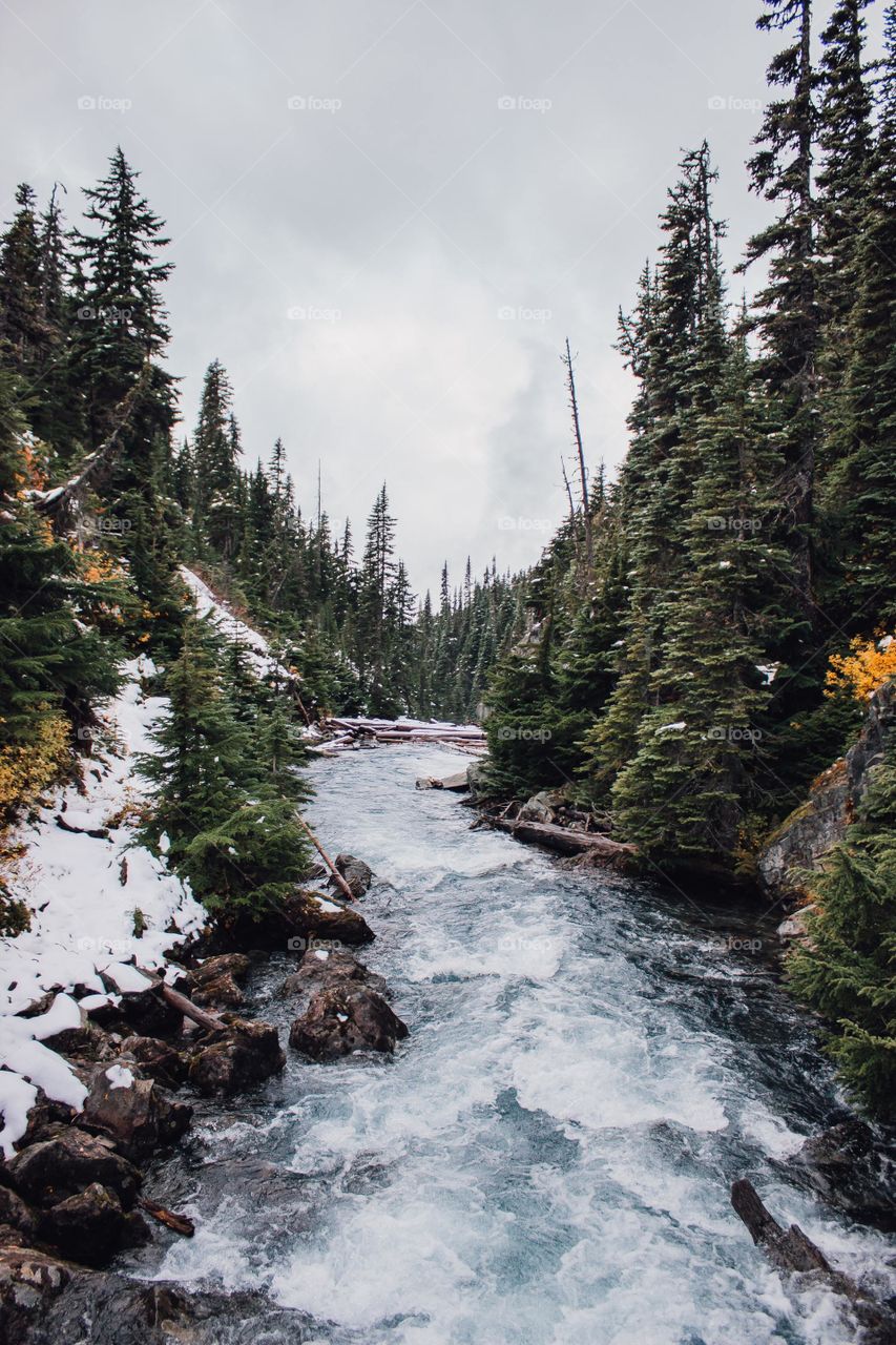A very beautiful river in the heart of the green forest and tall trees is a very beautiful effect of this photo. The snow by the river enhances its beauty and gives man a sense of freshness and life. Very beautiful and pristine nature
