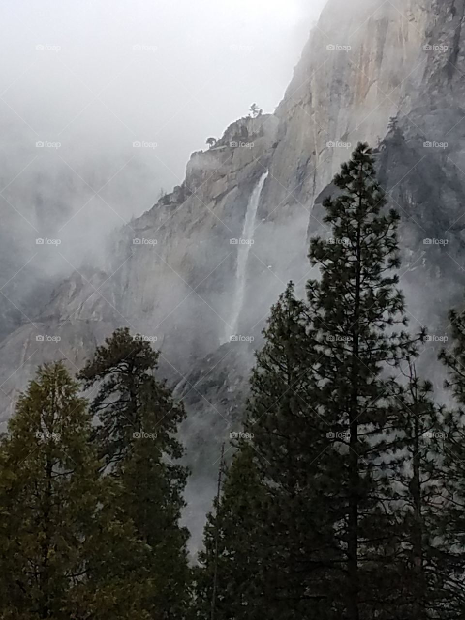 Yosemite Falls in Winter Mist.