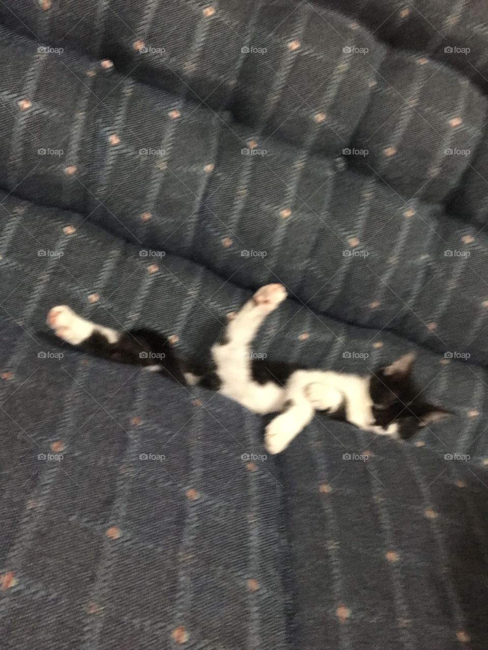 Jaime is weirdly comfortable