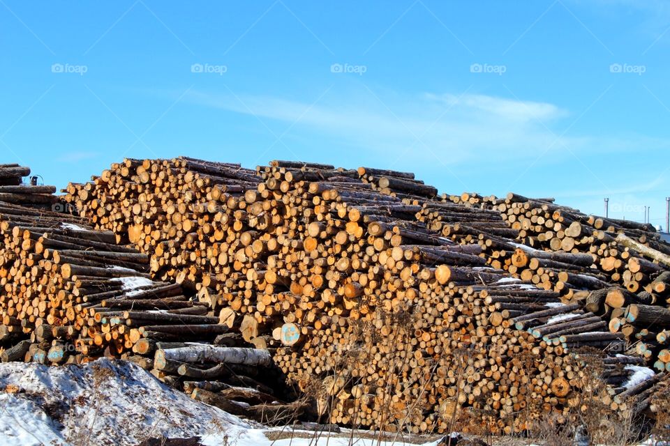 Paper mill lumber
