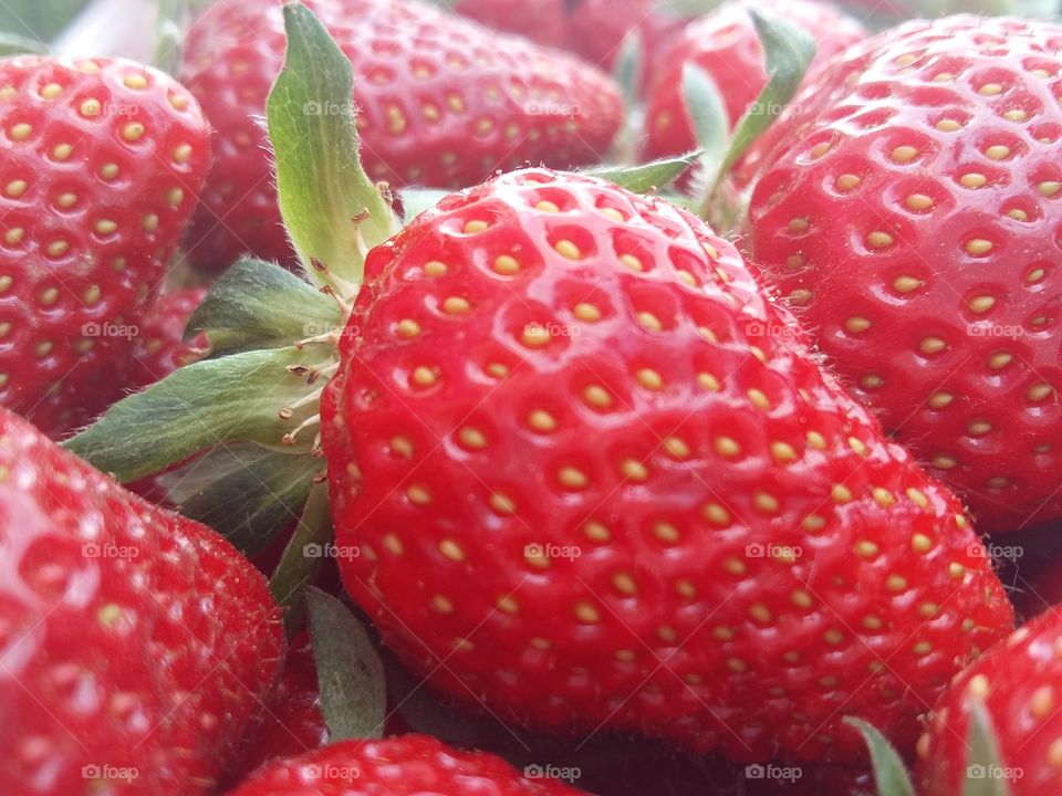 Strawberries