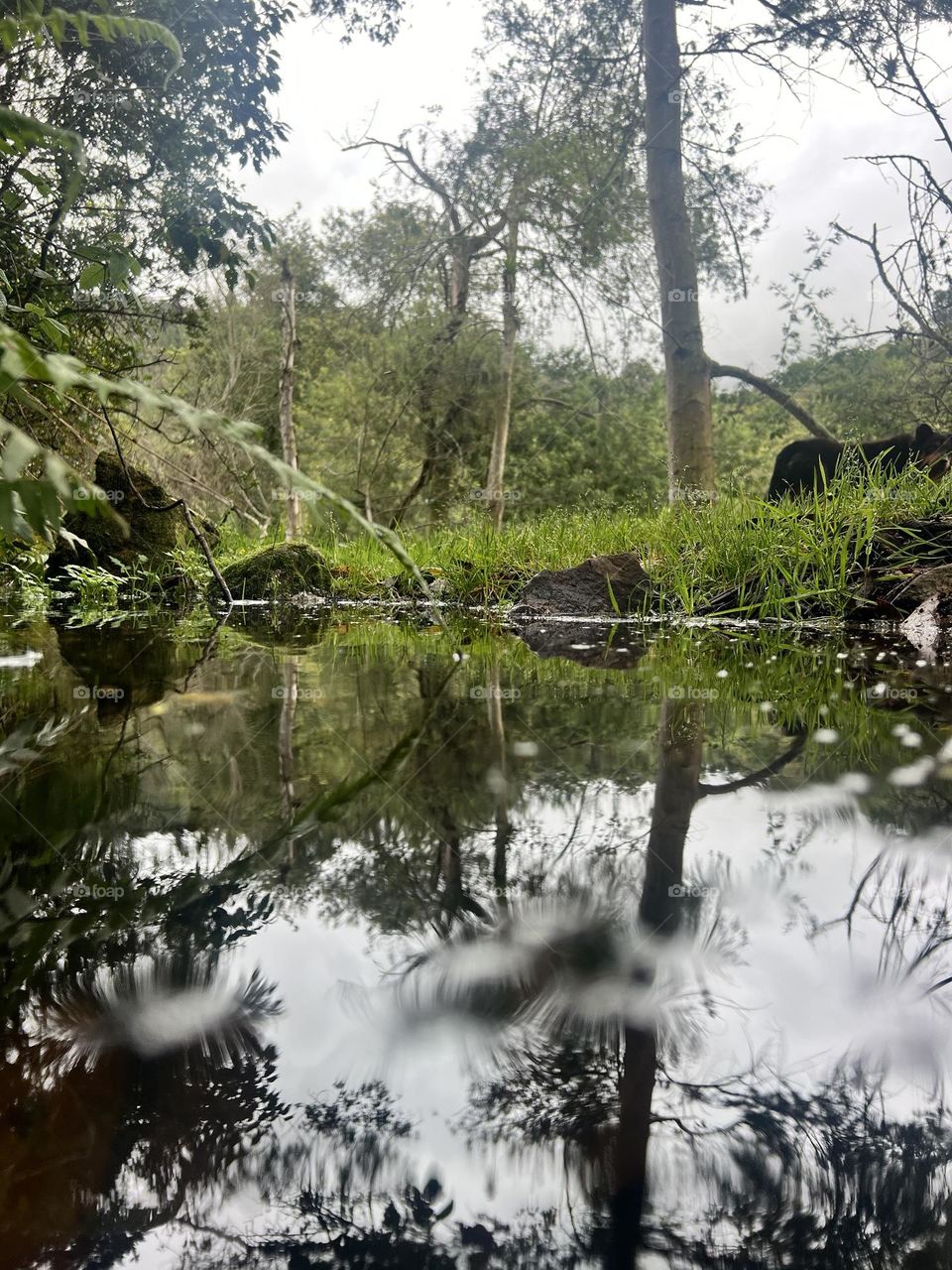 Paisaje natural hermoso 