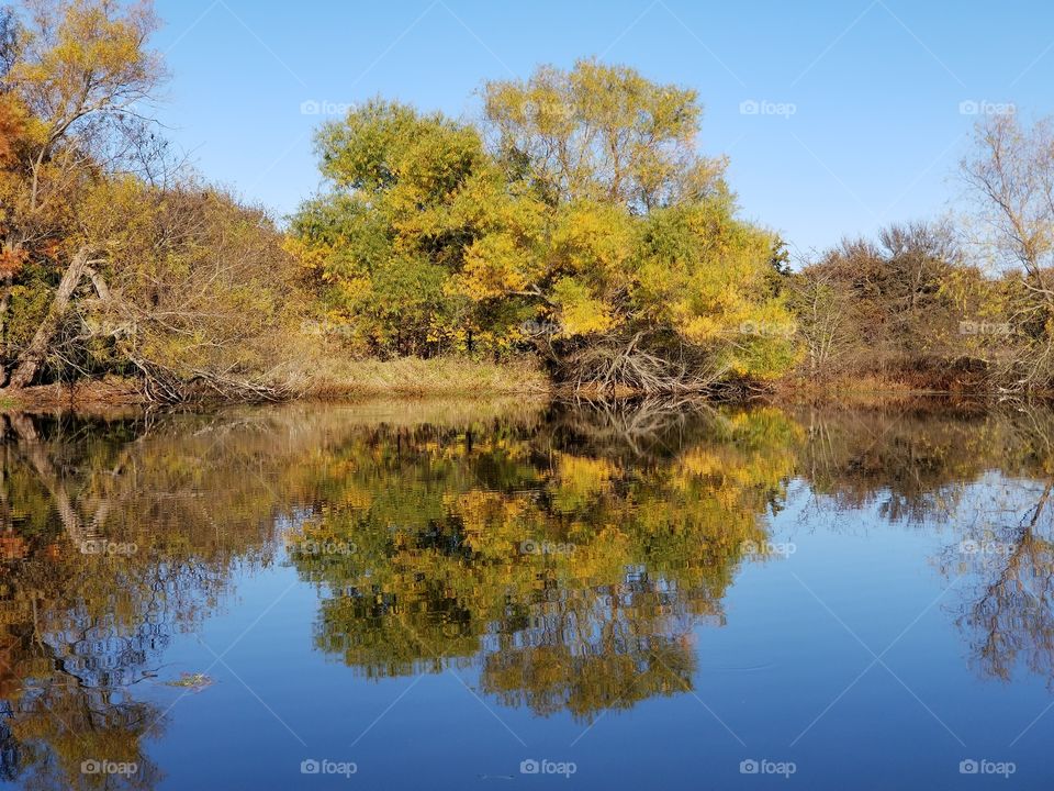 Fall Tree Reflection