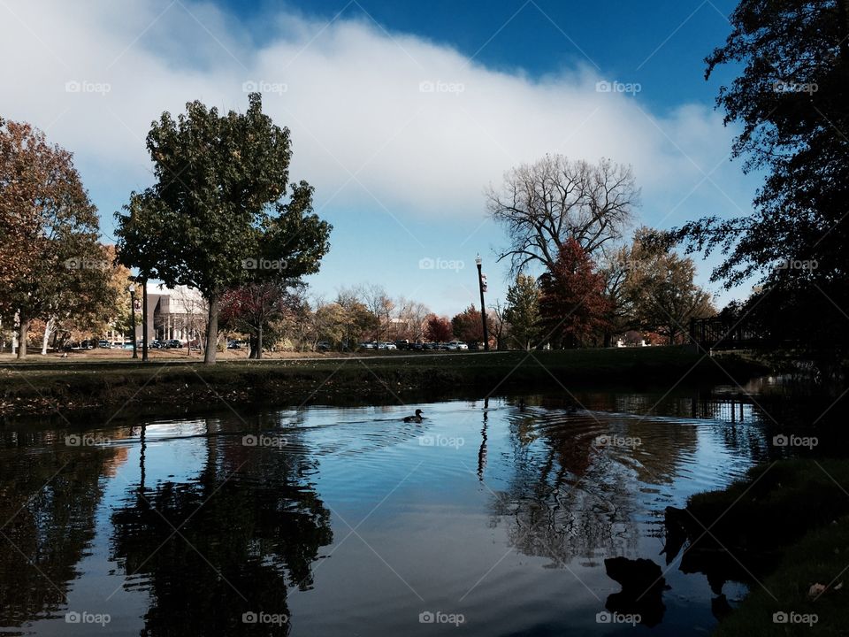 Beauty of the Outdoors