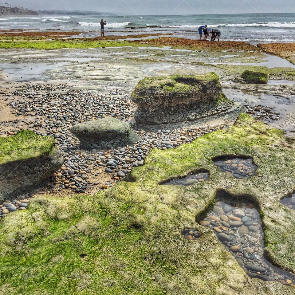 Green day on Swamis. 