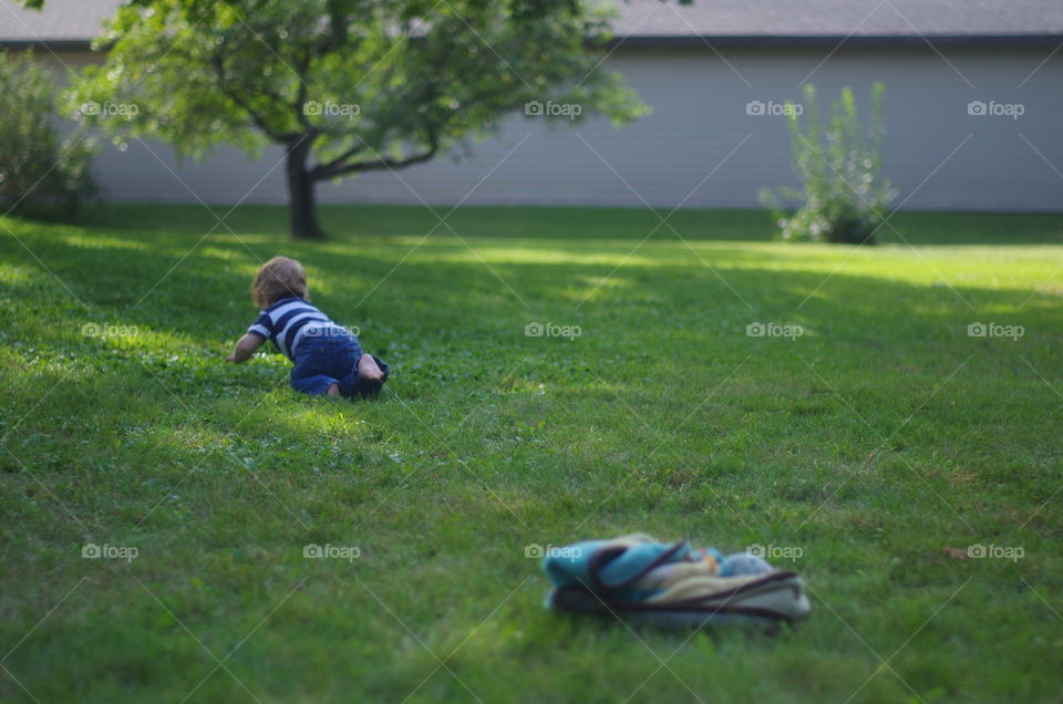 Grass, Park, Landscape, Lawn, Leisure