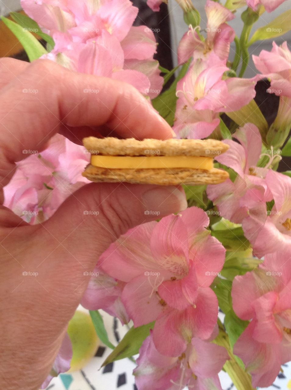 Finger foods, cheese and crackers.