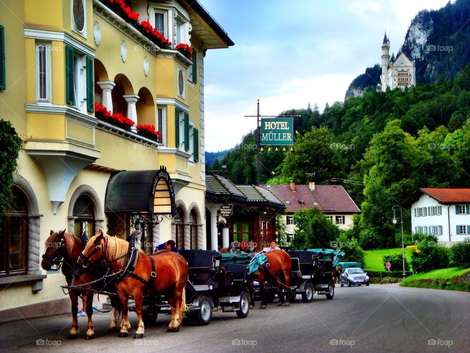 Summer at Neuschwanstein