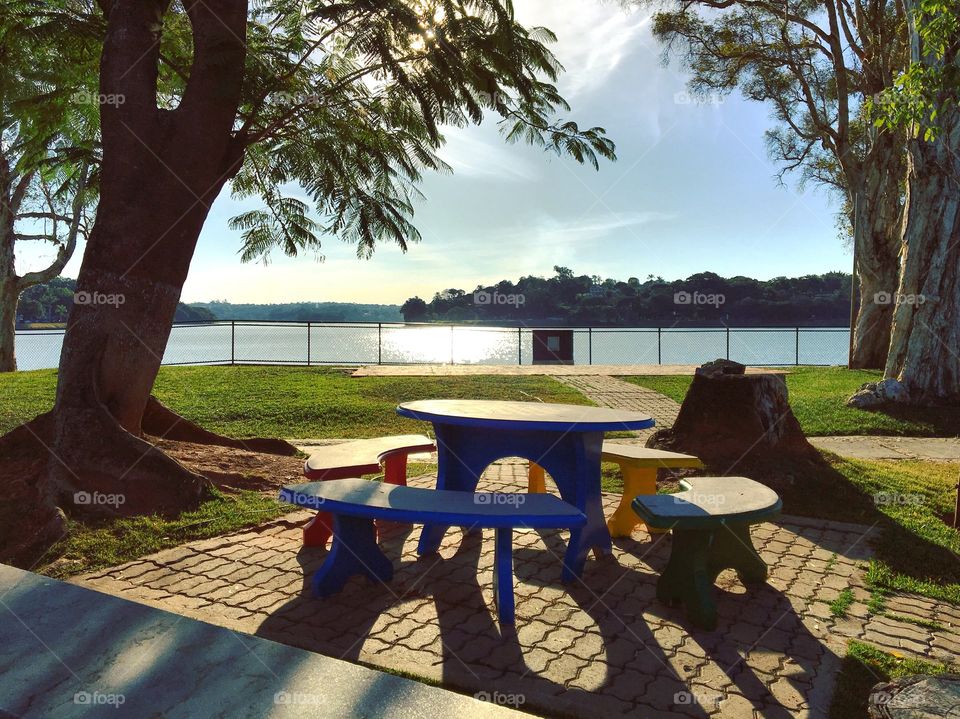 view of lake in park