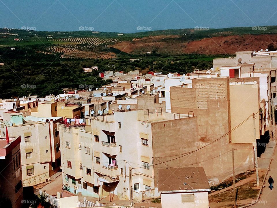 population between the nature