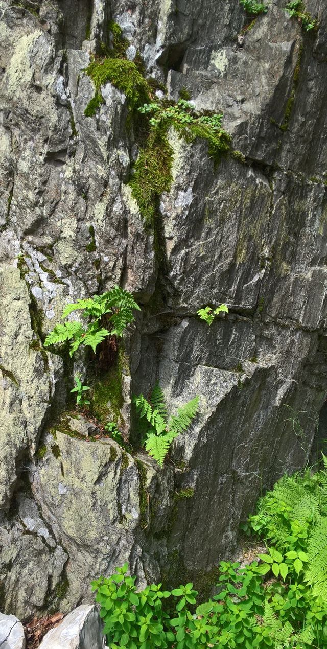 rock
