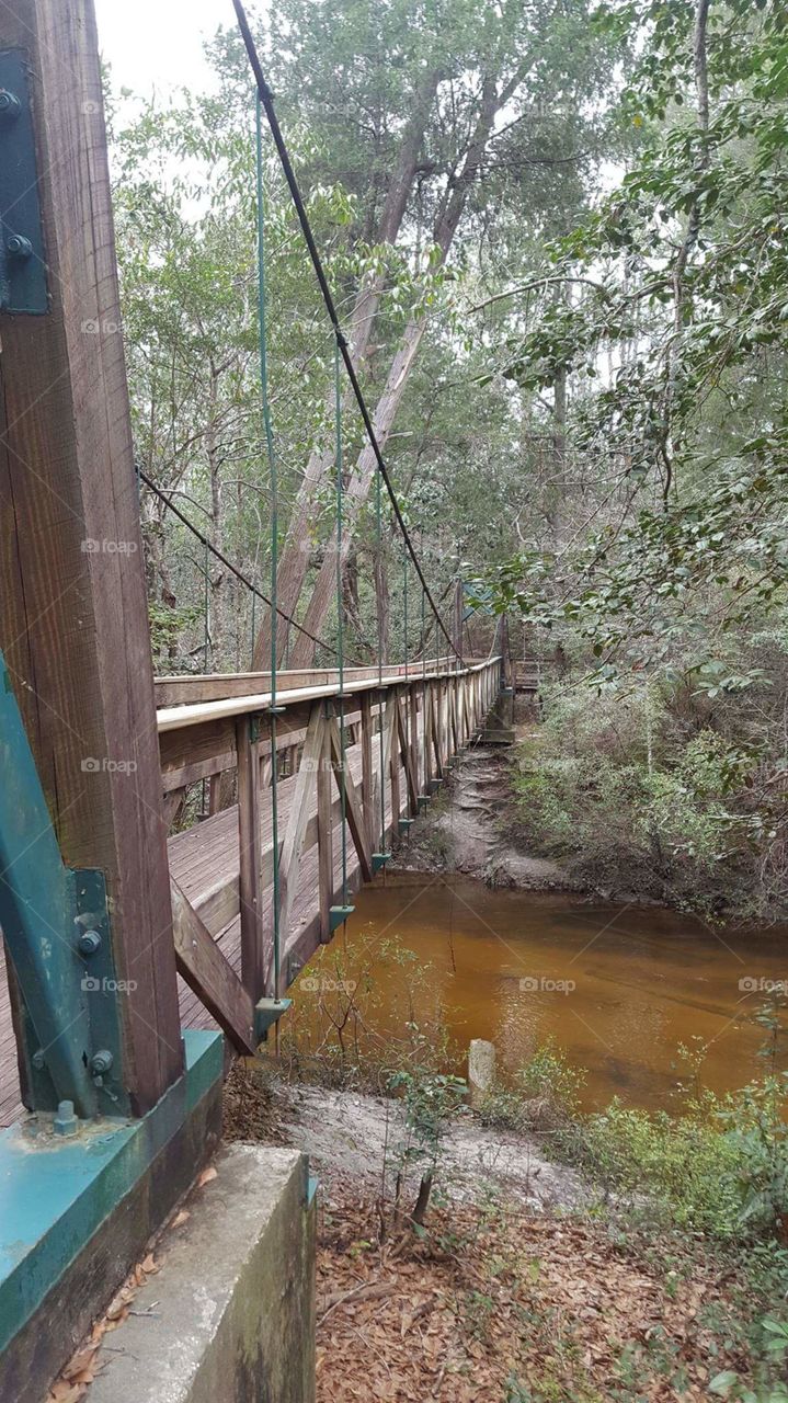 bridge over river