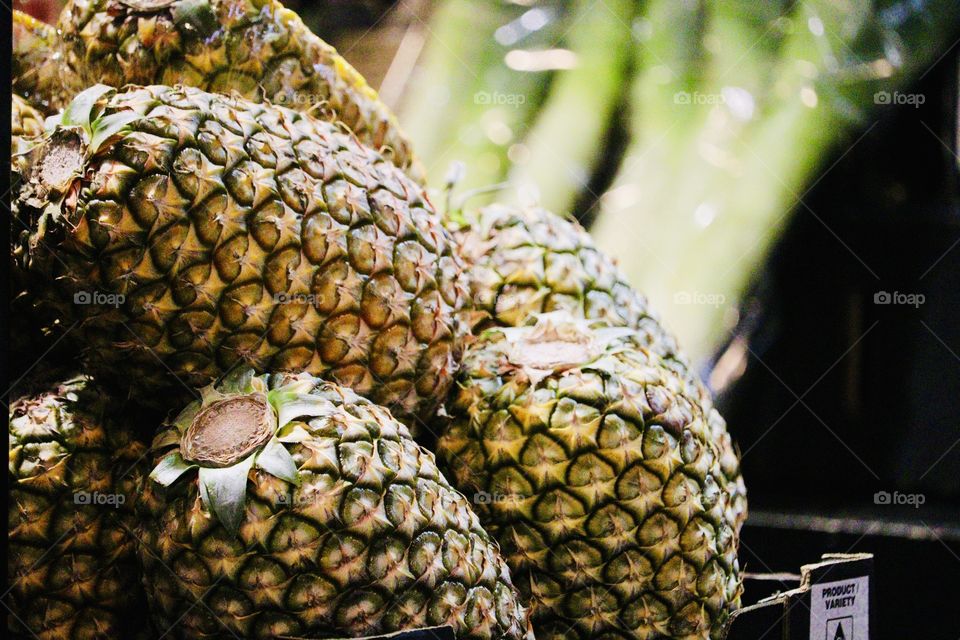 Pineapples, ripe organic group of market fresh tropical fruit whole, closeup with copy space, ingredient for juices, baking, pizzas, delicious and sweet, skin on