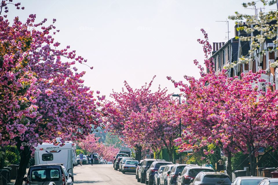 Spring, a lovely reminder of how beautiful change can truly be