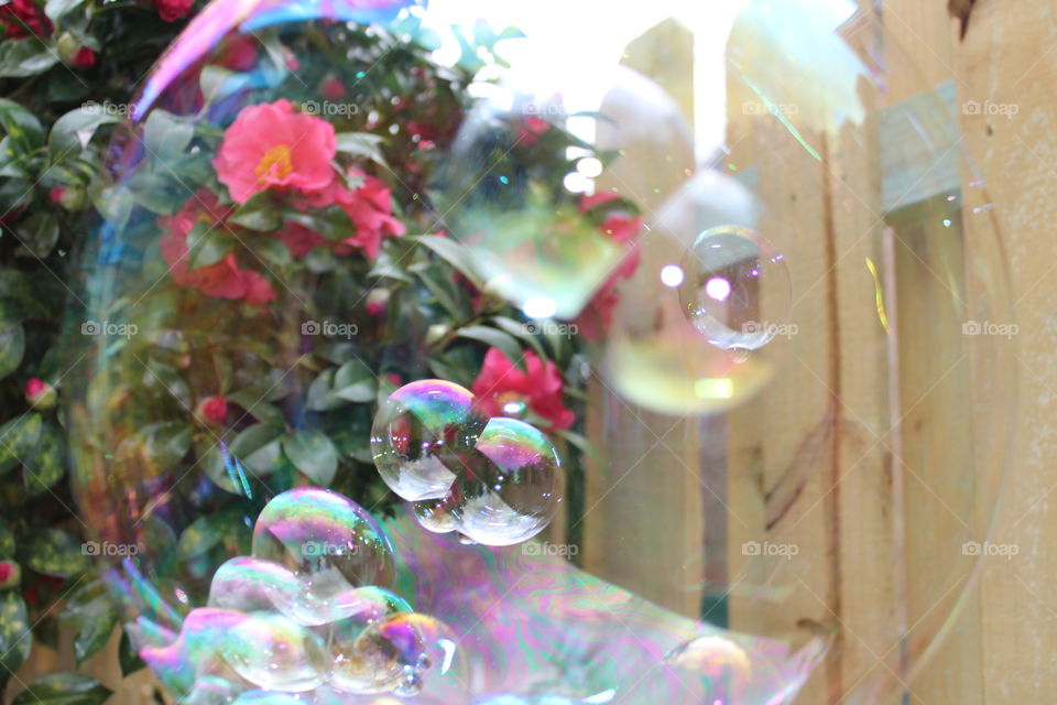 floral bubbles