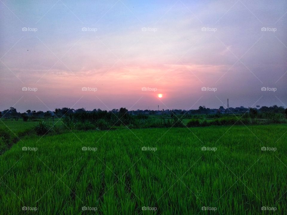 Vacay? Ready, steady, go!