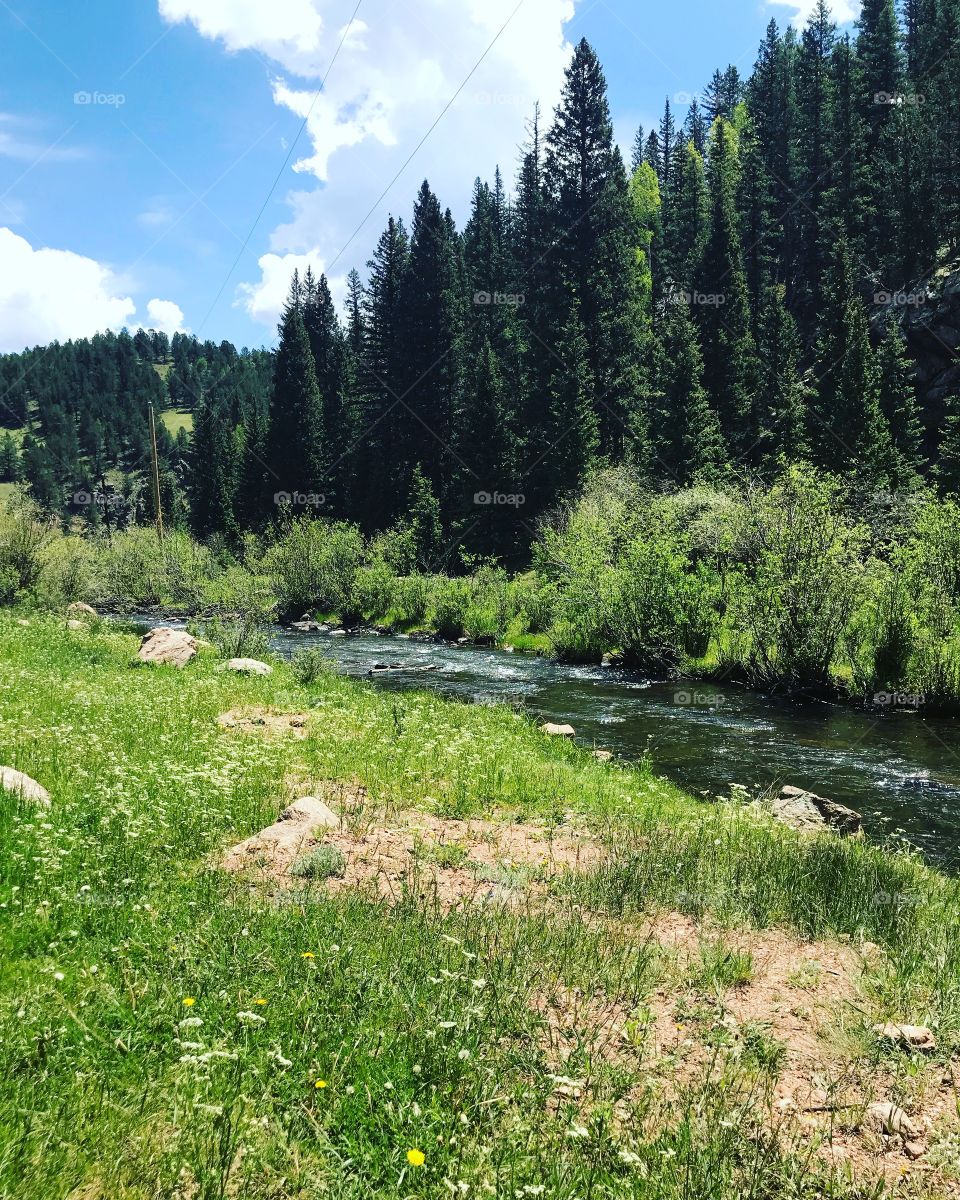 Summer hike in Colorado along this beautiful creek. Location is West beaver creek below Skagway reservoir. 