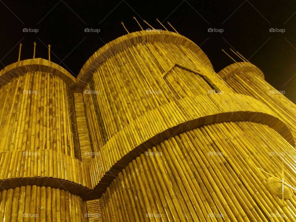 Unique Bamboo construction