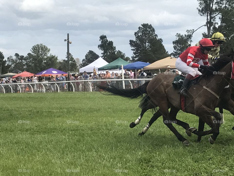 Horse, Competition, Race, Jockey, Track