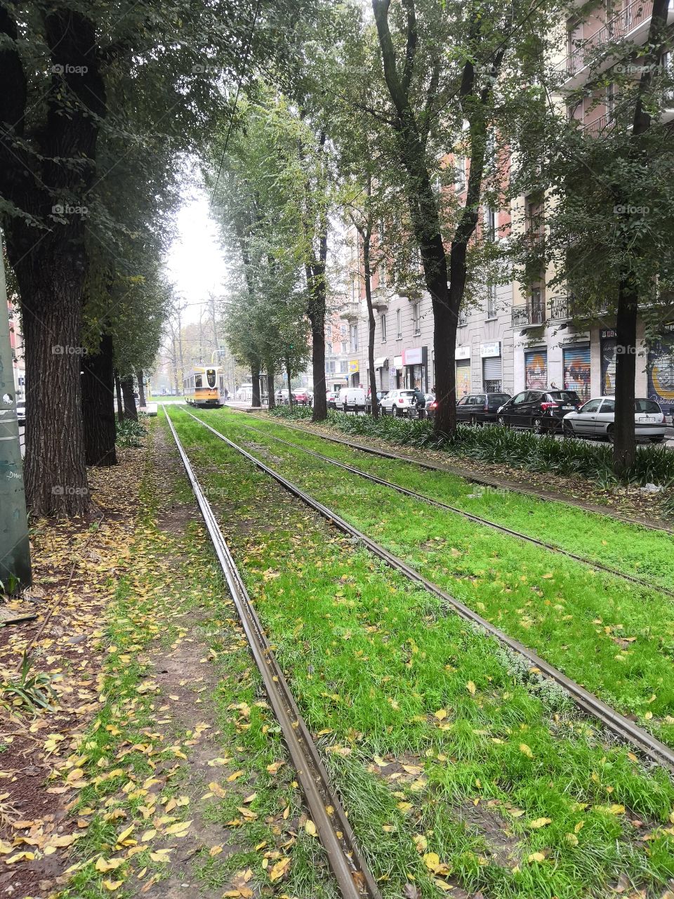 Tramway Milan