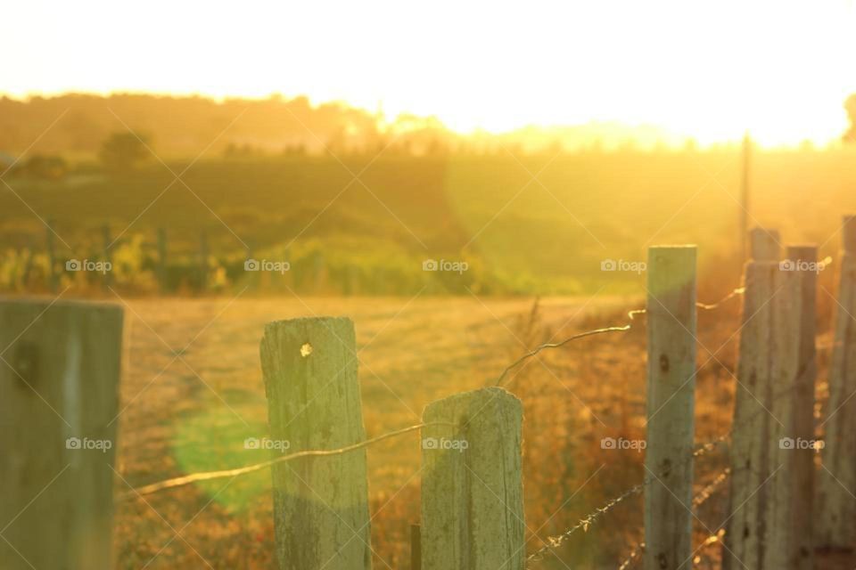 Springtime sunset on the farm. This image captures the original posts and wiring along the fence line.