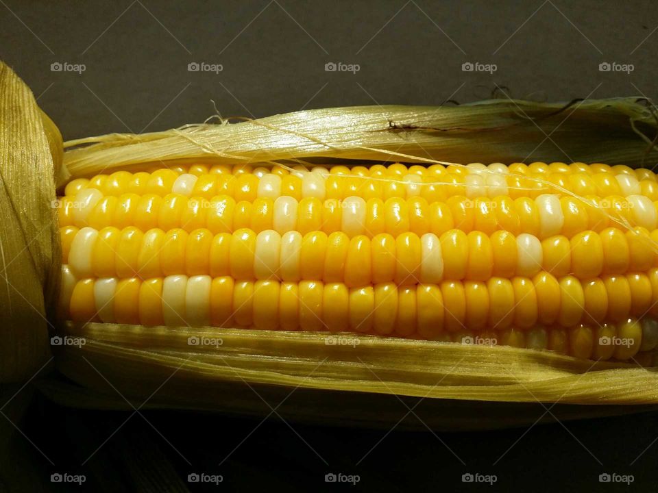 Fresh Corn. Fresh corn on the cob