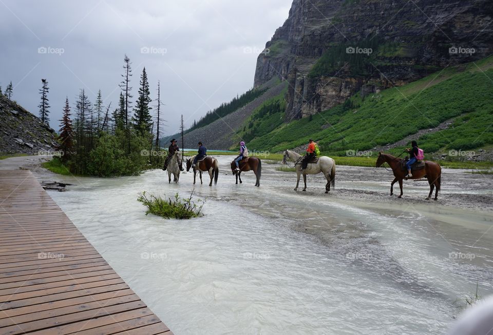 Horse Trek