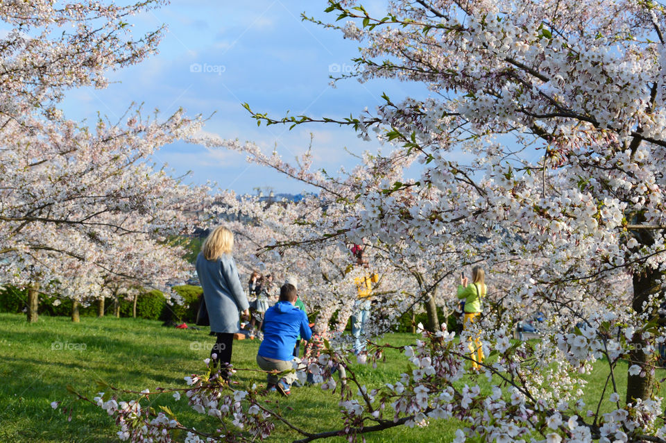 taking photos of children