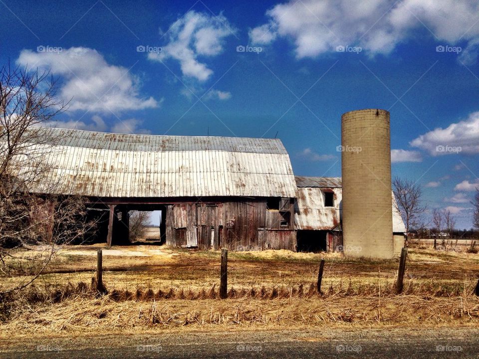 This bold barn 
