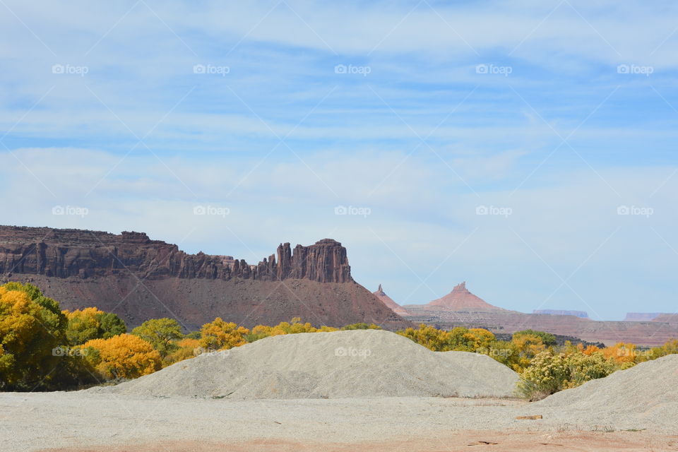 High desert butte with wildflowers