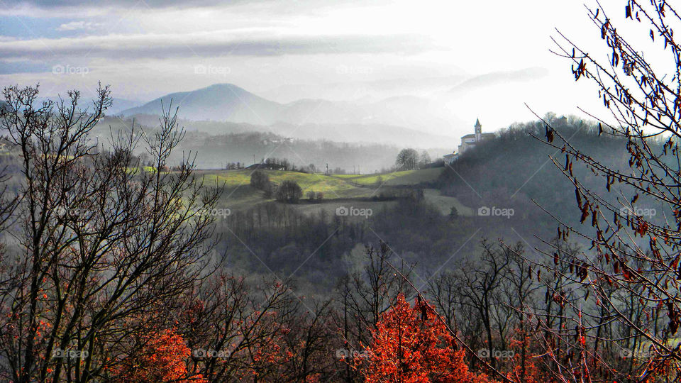 View of grassy field at foggy weather