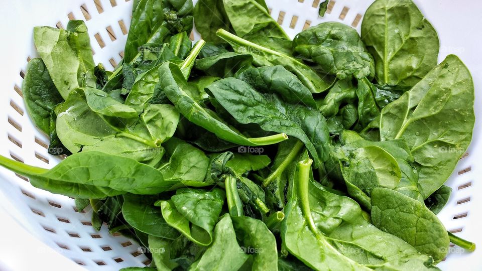 Spinach in the basket