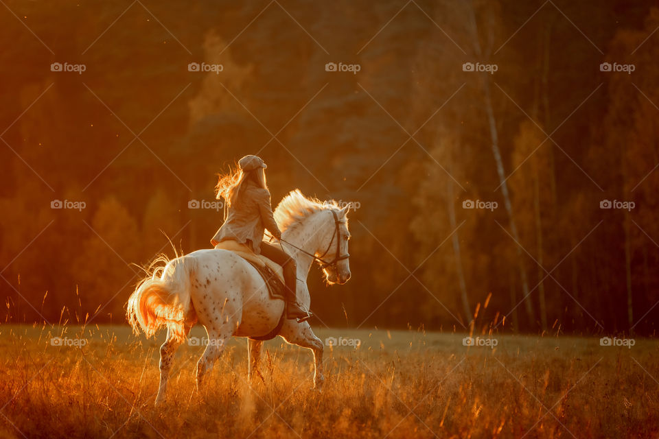 Evening walking horseback riding 