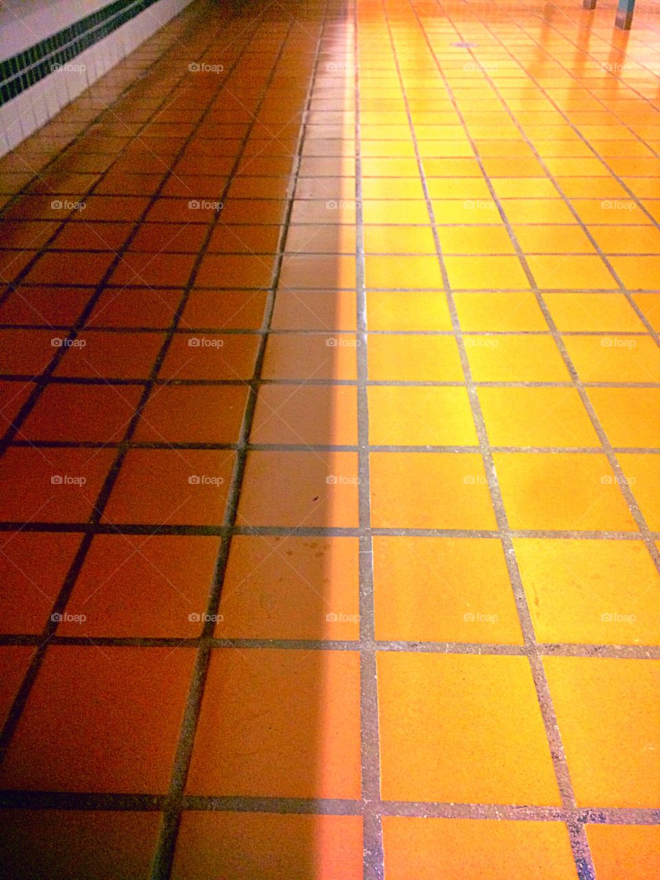 Orange tiles
