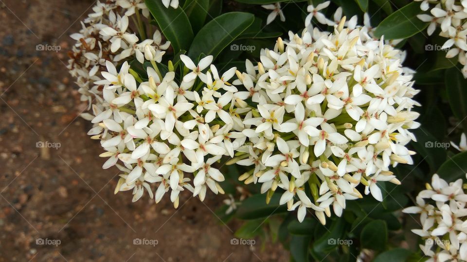 colour of colorfully