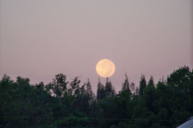 Full Moon