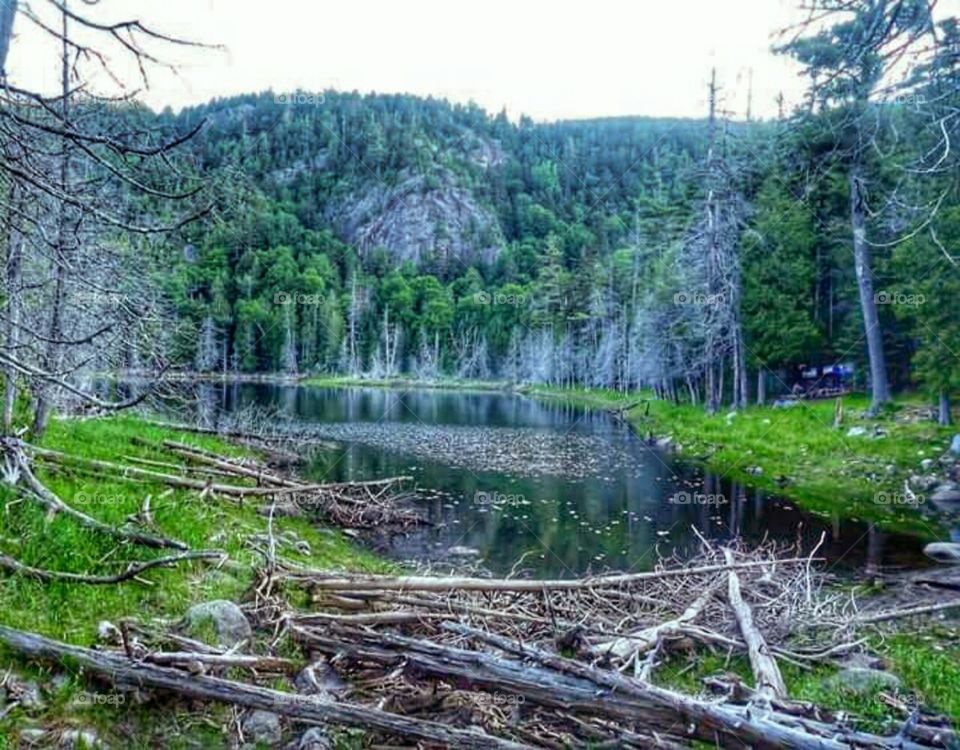 An Adirondack Pond!