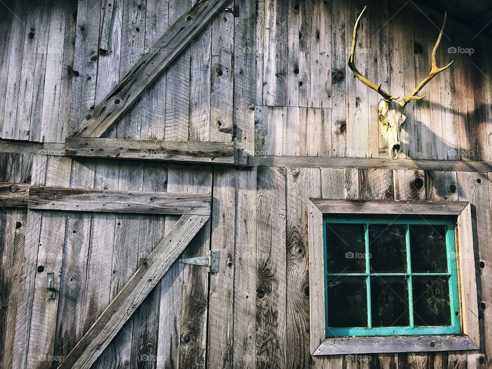 Old Barn 