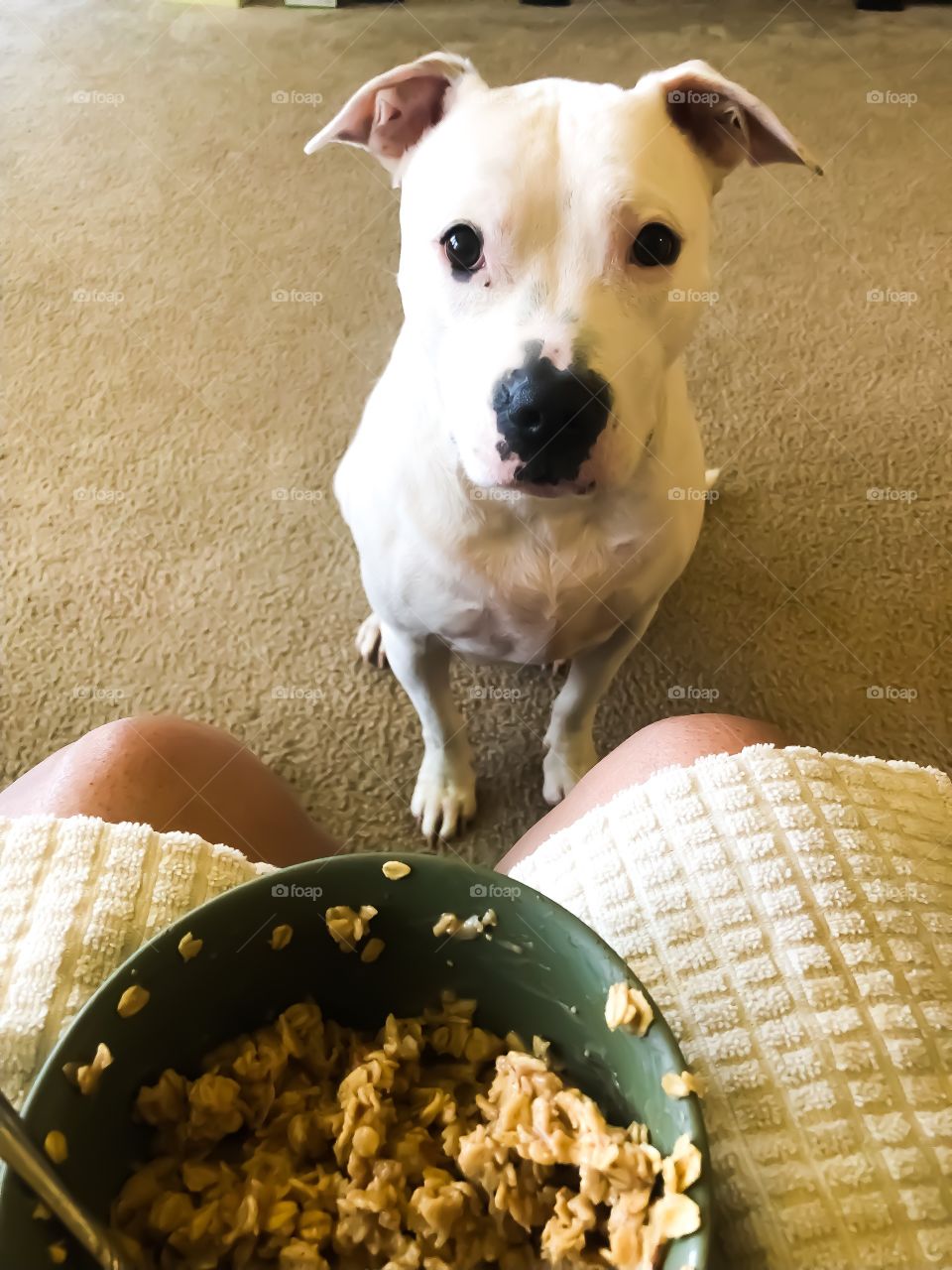 Some Please? Pitty-full begging face. 