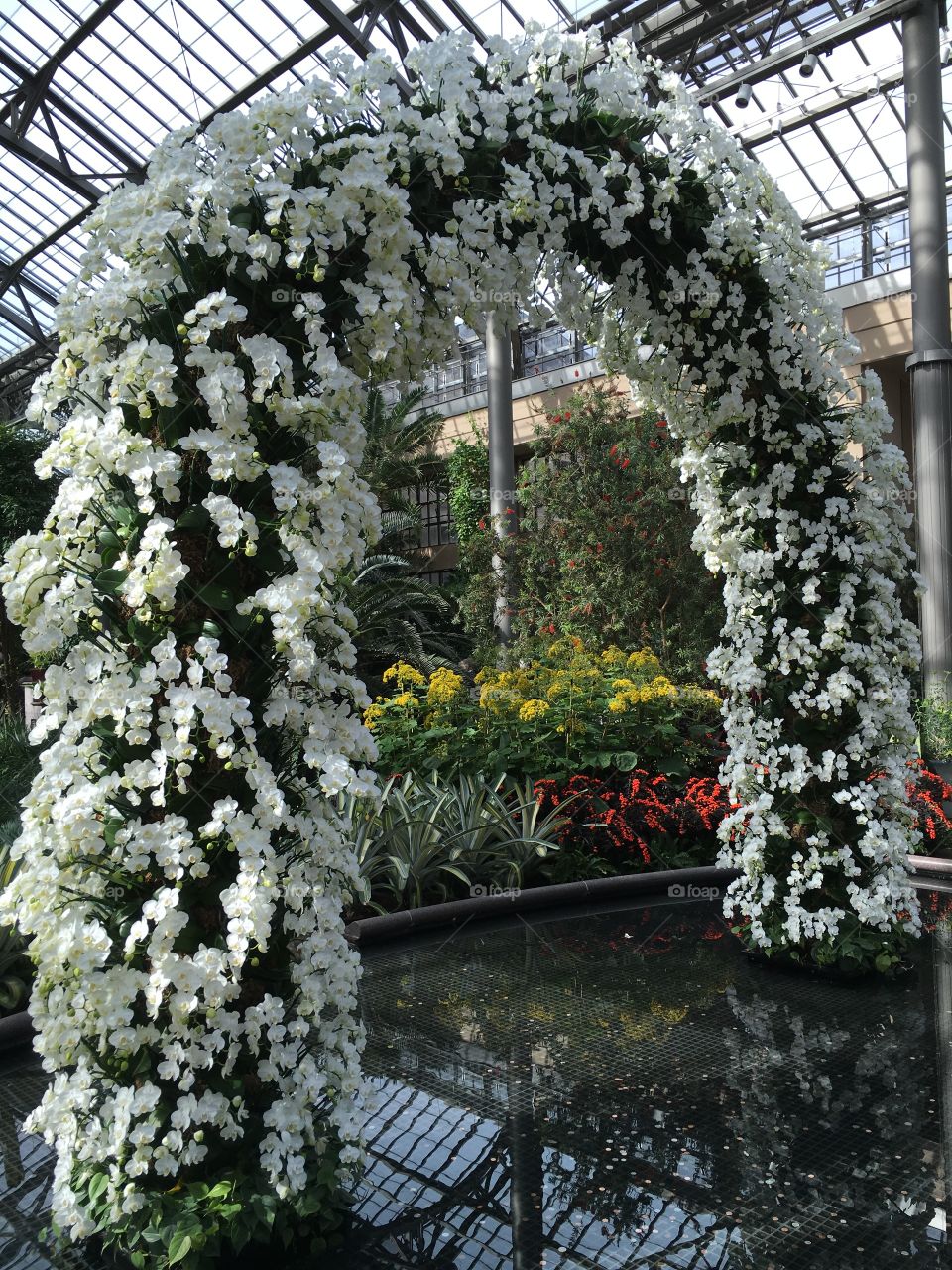 Orchid Arch