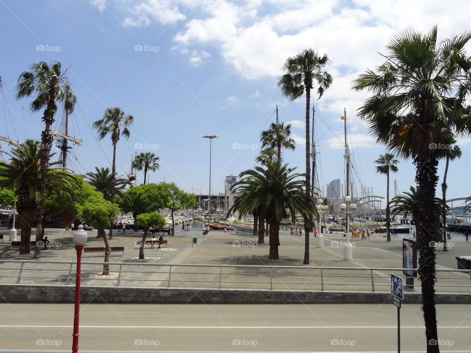 Barcelona Yacht Club