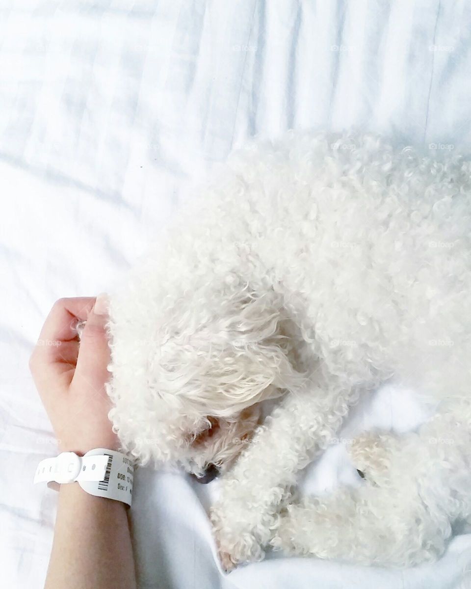 In sickness and in death