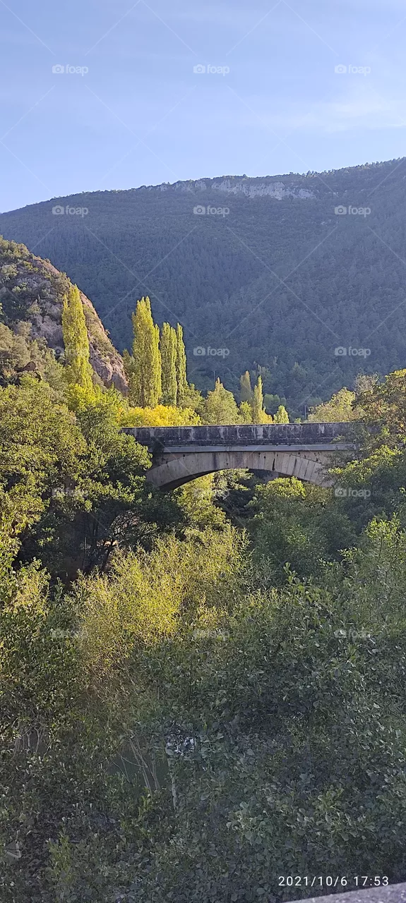 puonte