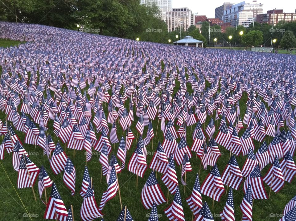 A field of patriotism 