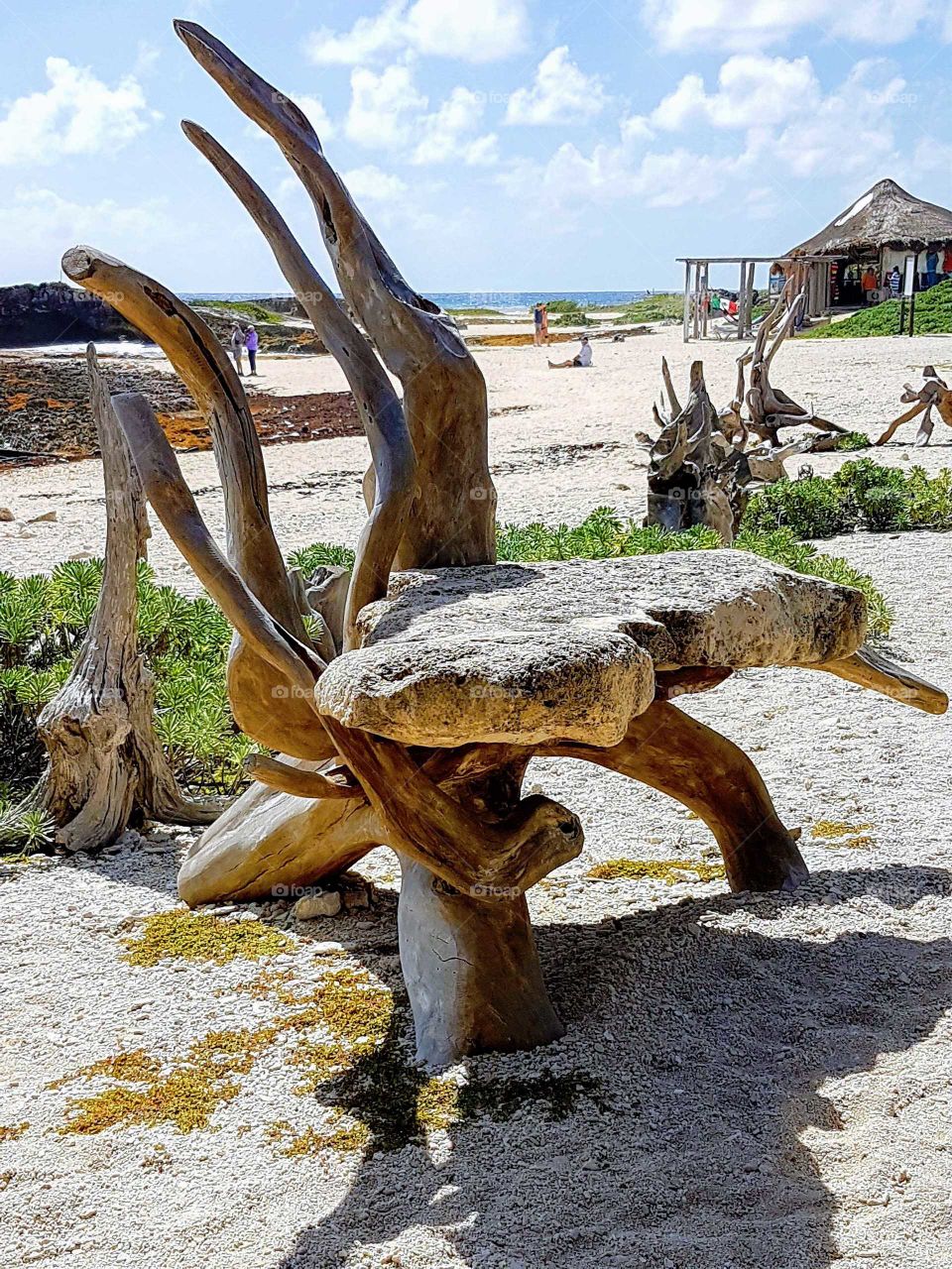 Driftwood Chair