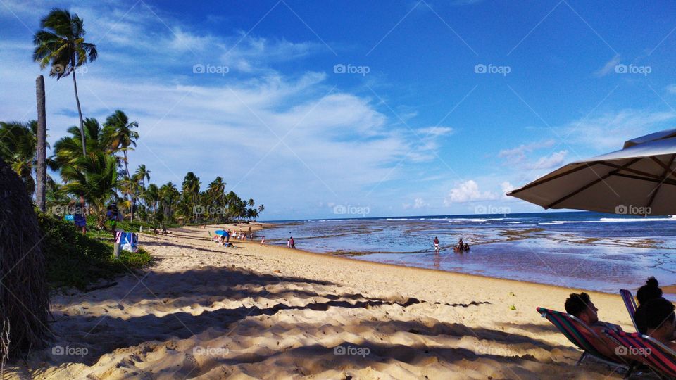 Belíssima paisagem da Praia do Forte na Bahia