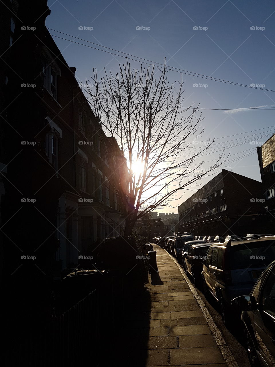 winter london sun
